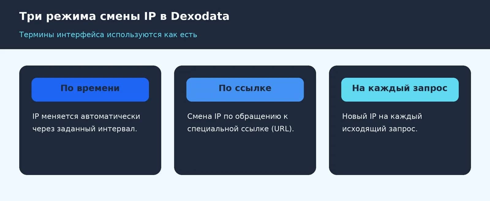 Как арендовать прокси-порт Dexodata и подключить его в Linken Sphere - img 2