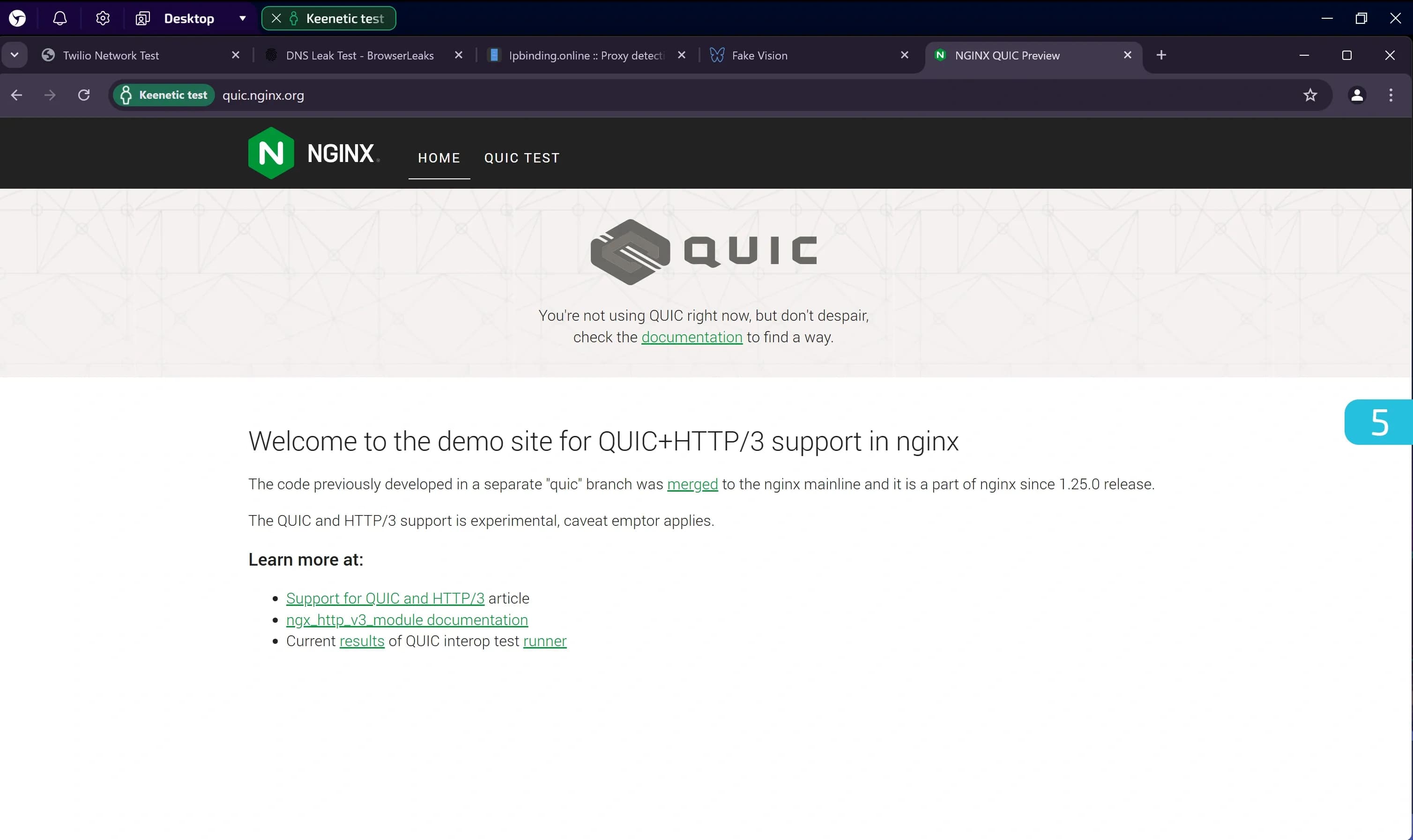 Routeur Keenetic comme outil de proxyfication - img 39