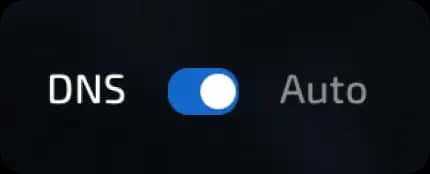 dns