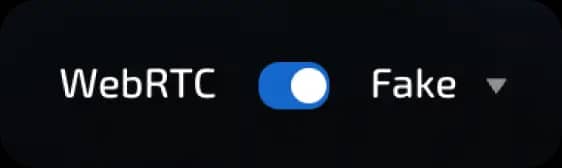 webRTC fake