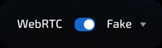 webRTC fake