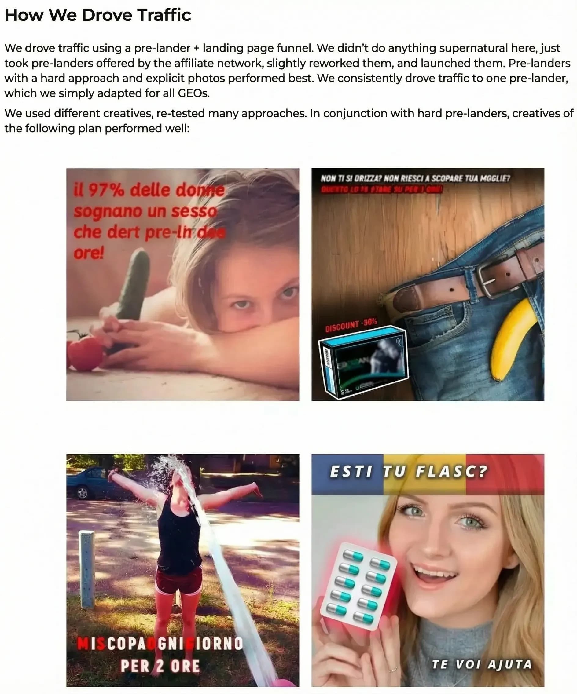 Trafik Arbitrajı Vaka Çalışmaları — Yalanlar mı Yoksa Pratik Rehberler mi? - img 2